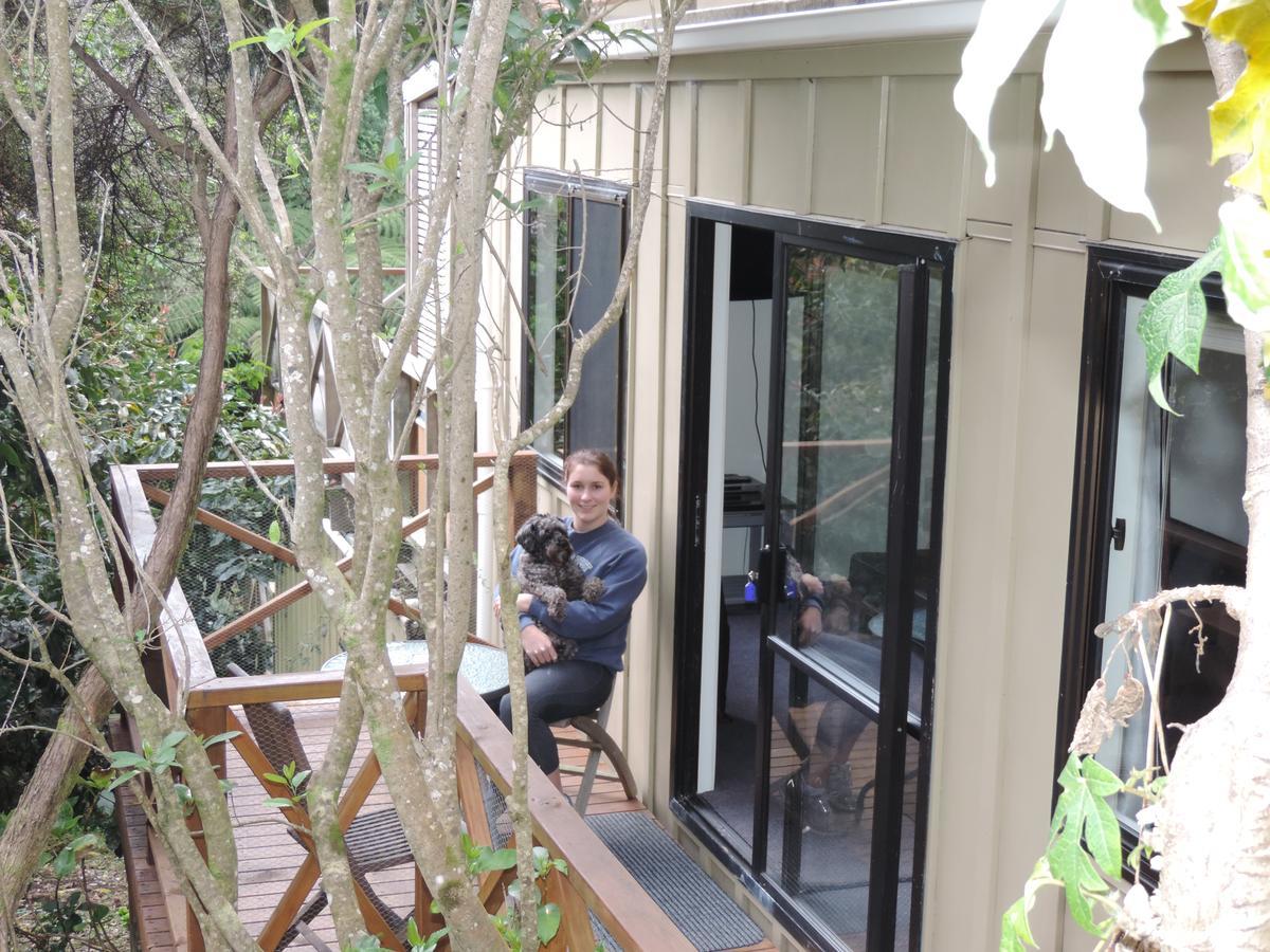 Waiheke Island Punga Lodge Oneroa Exterior foto