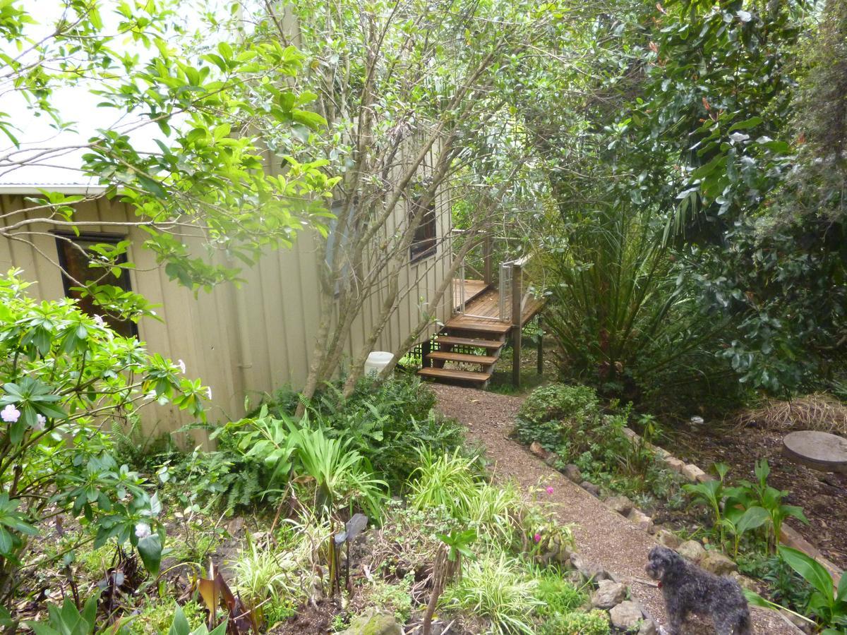 Waiheke Island Punga Lodge Oneroa Exterior foto